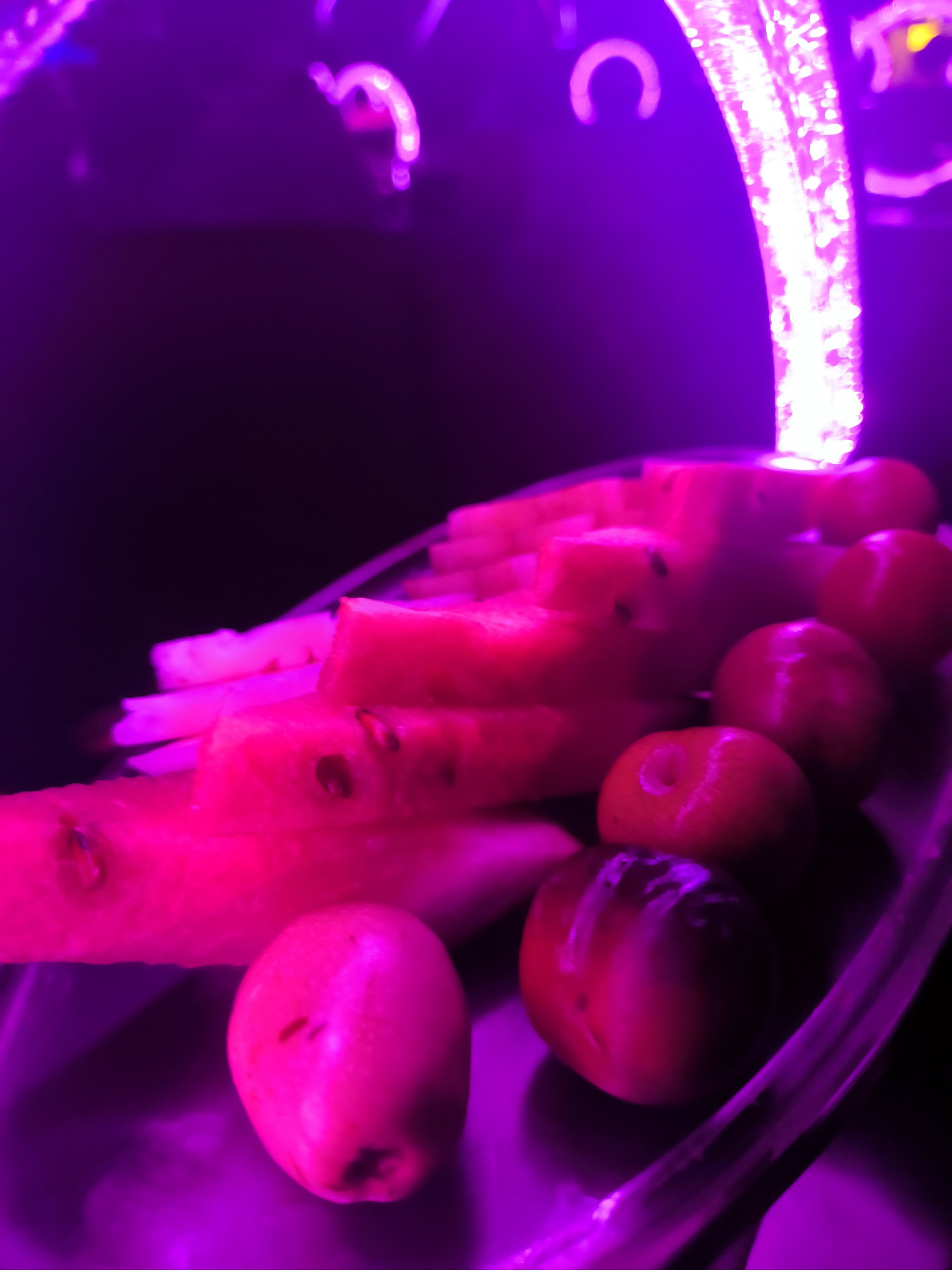 郴州商务ktv哪里有优质选择-嘉禾县ktv预定